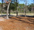 Blue Course at Magnolia Point Golf and CC - No. 9