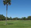 Selva Marina Country Club, the lone tree