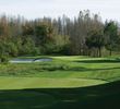 TPC Tampa Bay golf course - hole 6