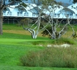 Pebble Beach Golf Links - 5th hole