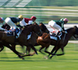 Horse racing