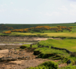 Kingsbarns Golf Links - No. 12