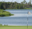 Tiburon Golf Club - Gold course