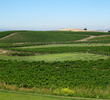 Chardonnay Golf Club - 14th hole