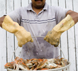 Hilton Head Island - crabs