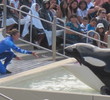 SeaWorld San Diego