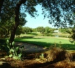 Hyatt Hill Country Resort - Oaks GC - hole 5