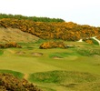 Royal Dornoch Golf Club - hole 5