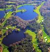 Innisbrook resort - Island golf course