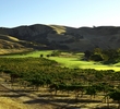 The Course at Wente Vineyards