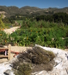 Carmel Valley Ranch Resort - lavender
