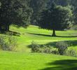 Tilden Park Golf Course - hole 12