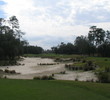Victoria Hill's No. 1