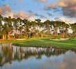 PGA National - Champion golf course - 8th