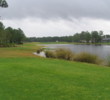 daytona - cypress head