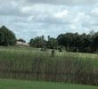 Serenoa GC in Sarasota - hole 17