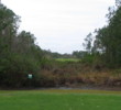 daytona - cypress head