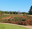 Sandpiper Golf & C.C. - Bay Course - hole 8