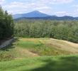 Whiteface
