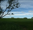 TPC San Antonio - AT&T Canyons Course - No. 6
