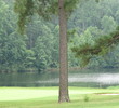 Foxfire Golf and Travel