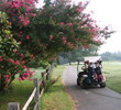 Foxfire Golf and Travel near Pinehurst