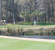 Hilron Head's Golden Bear