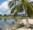 Lely Resort's Flamingo Island golf course