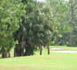 Lely Resort Golf & C.C.'s Flamingo Island Course