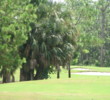 Flamingo Island Golf Course