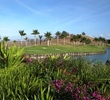 Big Island Country Club - hole 18