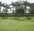 The Rookery
