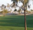 Lone Tree Golf Club in Chandler