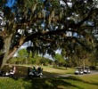 Pebble Creek Golf Club in Tampa - No. 18