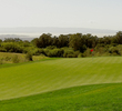 TPC Stonebrae golf course- hole 8