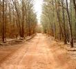 Road to Keahiakawelo