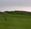 Pacific Grove Golf Links - hole 11