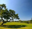 Vaaler Creek Golf Club - hole 8
