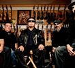 Sarasota Blues Fest - Los Lobos