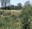 Castle Oaks Golf Course - 16th