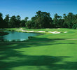 Cougar Point Course at Kiawah Island
