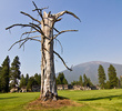 Big Meadow Golf Course at Black Butte Ranch - 10th