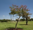 Jacaranda C.C. - East Course
