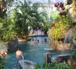 Crystal Springs Golf Resort - Grand Cascades Lodge - indoor pool