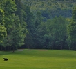 Crystal Springs Golf Resort - Minerals course - hole 1