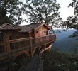 Primland - Golden Eagle Tree House