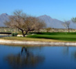 Cattail golf course at Whirlwind GC