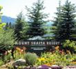 Mount Shasta Resort