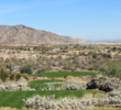 Raven Golf Club at Verrado - 14th