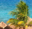 Cozumel
